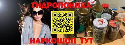мдпв Нальчик