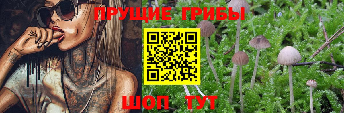 Таганрог  Псилоцибиновые грибы ЛСД  Вход с VPN 